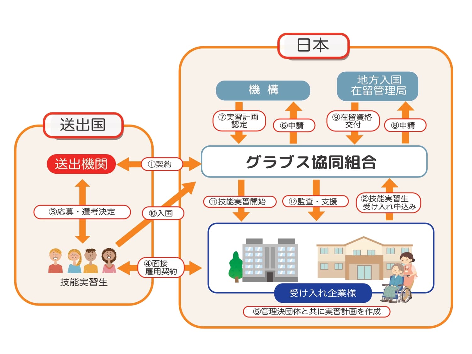 団体監理監理型受け入れチャート